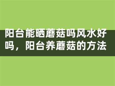 阳台能晒蘑菇吗风水好吗,阳台养蘑菇的方法