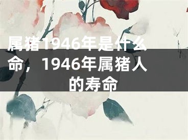 属猪1946年是什么命，1946年属猪人的寿命