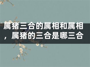属猪三合的属相和属相，属猪的三合是哪三合