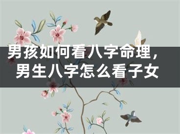 男孩如何看八字命理，男生八字怎么看子女