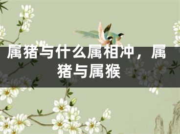 属猪与什么属相冲，属猪与属猴