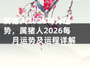 属猪人2026每月运势，属猪人2026每月运势及运程详解