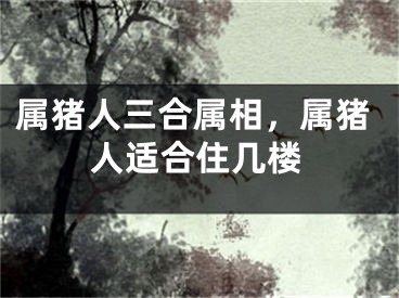 属猪人三合属相，属猪人适合住几楼