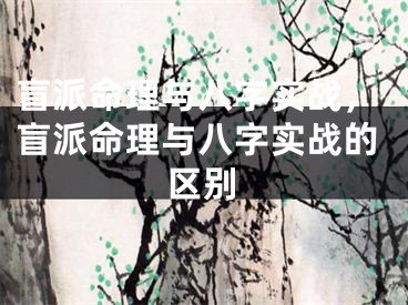 盲派命理与八字实战,盲派命理与八字实战的区别