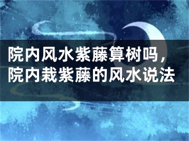 院内风水紫藤算树吗，院内栽紫藤的风水说法