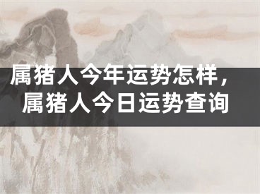 属猪人今年运势怎样，属猪人今日运势查询