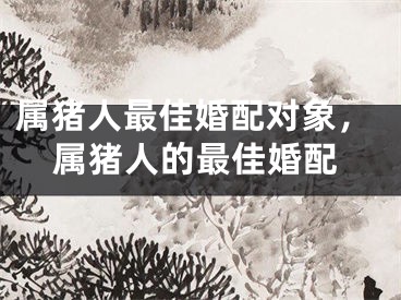 属猪人最佳婚配对象，属猪人的最佳婚配