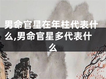 男命官星在年柱代表什么,男命官星多代表什么