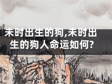 未时出生的狗,未时出生的狗人命运如何?