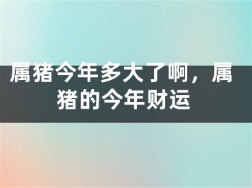 属猪今年多大了啊，属猪的今年财运
