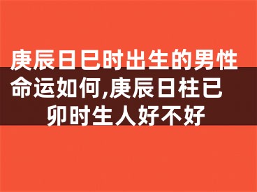 庚辰日巳时出生的男性命运如何,庚辰日柱已卯时生人好不好