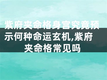 紫府夹命格身宫究竟预示何种命运玄机,紫府夹命格常见吗
