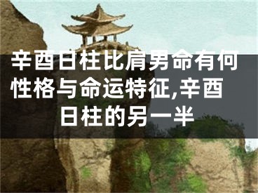 辛酉日柱比肩男命有何性格与命运特征,辛酉日柱的另一半