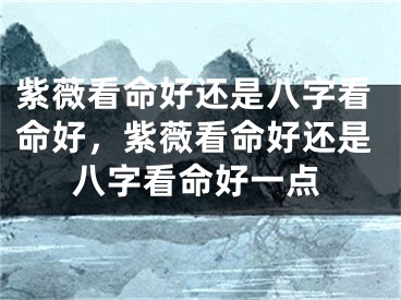 紫薇看命好还是八字看命好，紫薇看命好还是八字看命好一点