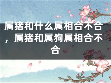 属猪和什么属相合不合，属猪和属狗属相合不合