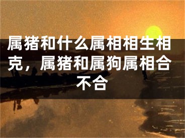 属猪和什么属相相生相克，属猪和属狗属相合不合