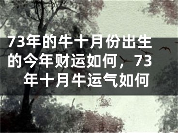 73年的牛十月份出生的今年财运如何，73年十月牛运气如何