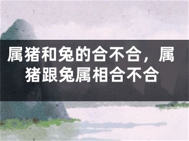 属猪和兔的合不合，属猪跟兔属相合不合