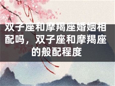双子座和摩羯座婚姻相配吗，双子座和摩羯座的般配程度