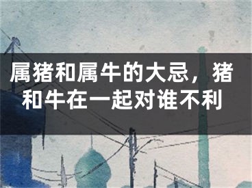 属猪和属牛的大忌，猪和牛在一起对谁不利