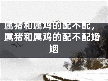 属猪和属鸡的配不配，属猪和属鸡的配不配婚姻