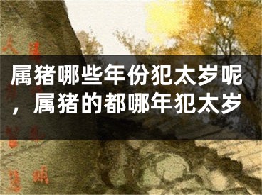 属猪哪些年份犯太岁呢，属猪的都哪年犯太岁