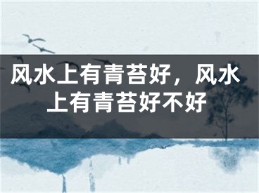 风水上有青苔好，风水上有青苔好不好