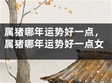 属猪哪年运势好一点，属猪哪年运势好一点女