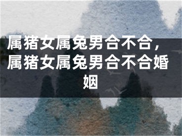 属猪女属兔男合不合，属猪女属兔男合不合婚姻