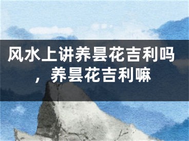 风水上讲养昙花吉利吗，养昙花吉利嘛