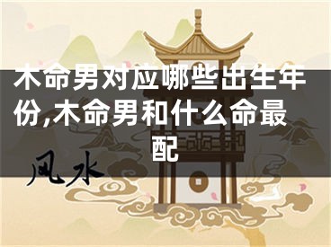 木命男对应哪些出生年份,木命男和什么命最配