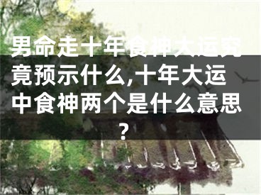 男命走十年食神大运究竟预示什么,十年大运中食神两个是什么意思?