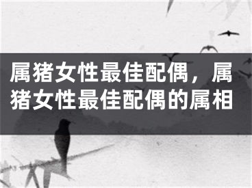 属猪女性最佳配偶，属猪女性最佳配偶的属相