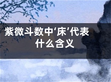 紫微斗数中‘床’代表什么含义