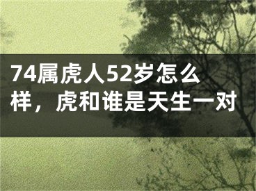 74属虎人52岁怎么样，虎和谁是天生一对