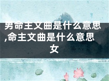 男命主文曲是什么意思,命主文曲是什么意思女