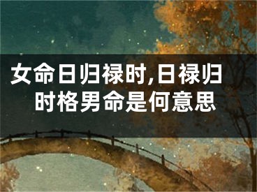 女命日归禄时,日禄归时格男命是何意思