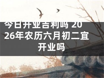 今日开业吉利吗 2026年农历六月初二宜开业吗