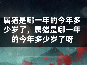 属猪是哪一年的今年多少岁了，属猪是哪一年的今年多少岁了呀