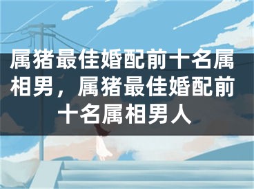 属猪最佳婚配前十名属相男，属猪最佳婚配前十名属相男人