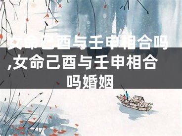 女命己酉与壬申相合吗,女命己酉与壬申相合吗婚姻