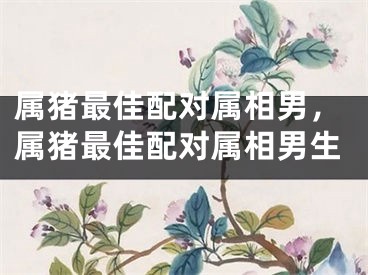 属猪最佳配对属相男，属猪最佳配对属相男生