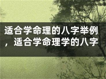 适合学命理的八字举例，适合学命理学的八字