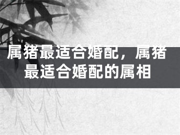 属猪最适合婚配，属猪最适合婚配的属相