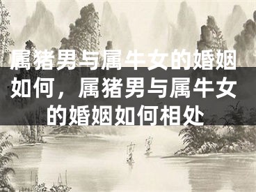 属猪男与属牛女的婚姻如何，属猪男与属牛女的婚姻如何相处