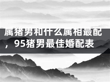 属猪男和什么属相最配，95猪男最佳婚配表