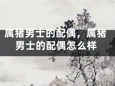 属猪男士的配偶，属猪男士的配偶怎么样