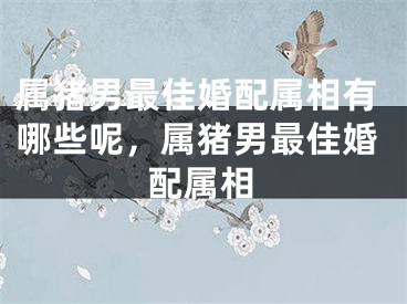 属猪男最佳婚配属相有哪些呢，属猪男最佳婚配属相