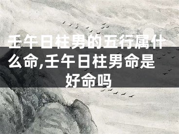 壬午日柱男的五行属什么命,壬午日柱男命是好命吗