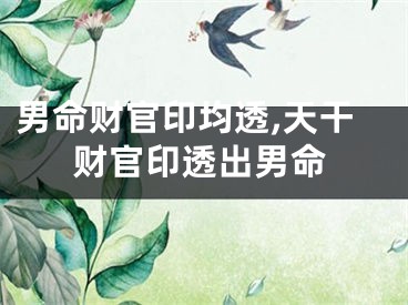 男命财官印均透,天干财官印透出男命